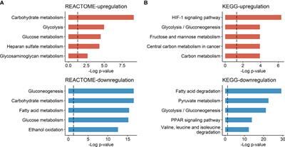 Metabolism-Associated Gene Signatures for FDG Avidity on PET/CT and Prognostic Validation in Hepatocellular Carcinoma